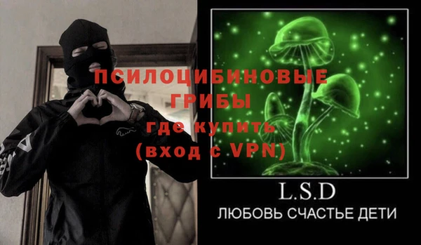 кокс Инсар