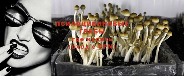 кокс Инсар